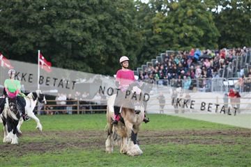 181962_mlm_01_R62_0706.JPG