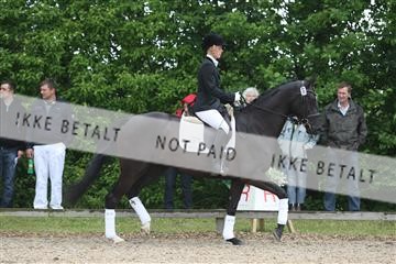135518_ms_01_IMG_0704.JPG
