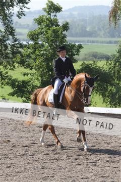 135676_sg_01_IMG_7555.JPG