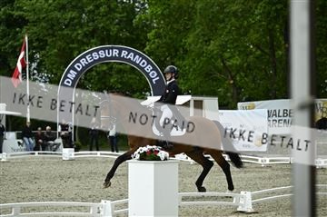 181449_kbb_03_Z090772.JPG