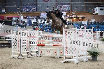 175934_avh_01_6681.JPG