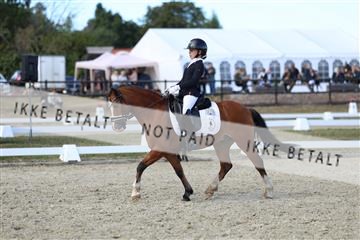 181894_mtp_05_R62_5295.JPG