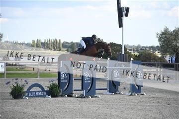 175171_akl_01_AKL_3149.JPG