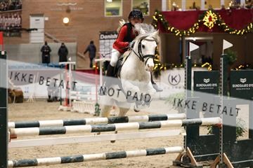 175934_avh_02_6904.JPG