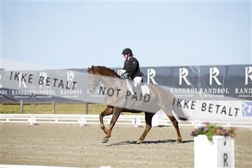 181449_kbb_01_6II9694.JPG