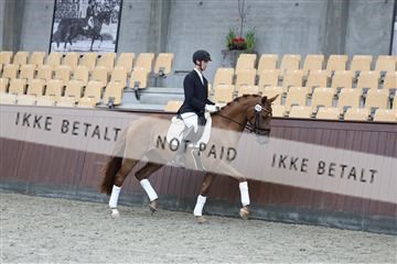 181852_mtp_04_R62_2904.JPG
