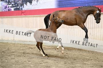 181754_kbb_01_Z093819.JPG