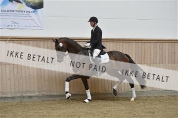 160111_nn_01__ESK2185.JPG
