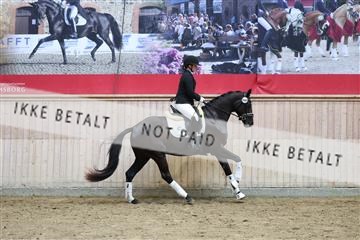 181887_mtp_04_R62_9315.JPG