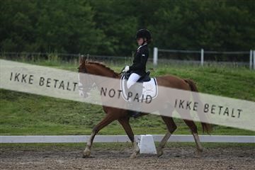 147698_nn_01_IMG_8764.JPG