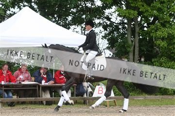 135518_ms_01_IMG_1314.JPG