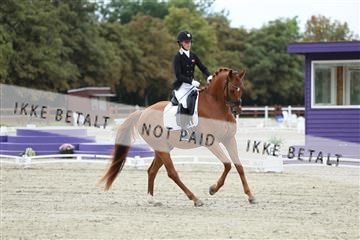 181923_mtp_02_R62_7087.JPG