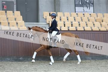 181852_mtp_04_R62_2771.JPG
