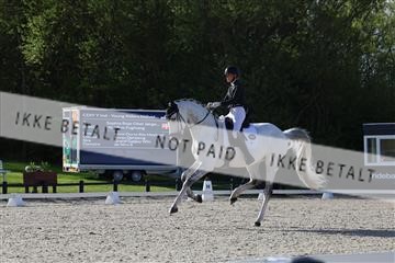 179330_avh_01_5026.JPG