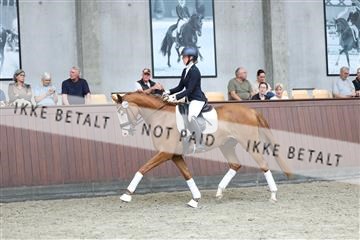 181852_mtp_04_R62_2790.JPG