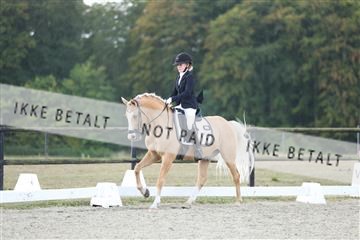 181894_mtp_04_R62_4029.JPG
