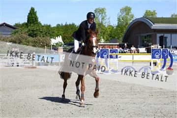 181436_avh_02_3572.JPG