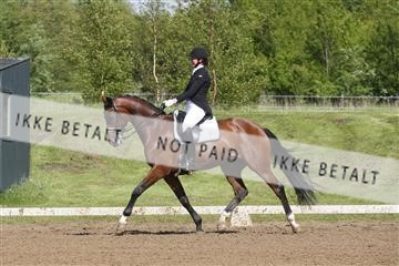 147698_nn_01_IMG_0179.JPG
