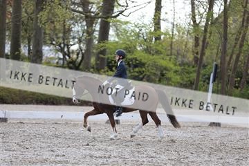 174512_mtp_01_3M5A7056.JPG