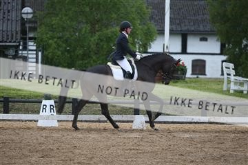 147698_nn_01_IMG_8831.JPG