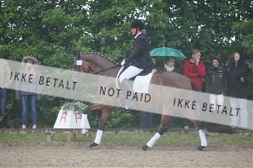 135518_ms_01_IMG_1066.JPG