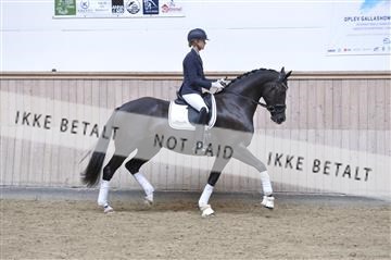 160111_nn_01__ESK1461.JPG