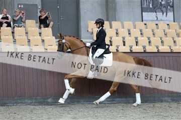 181852_mtp_04_R62_2711.JPG