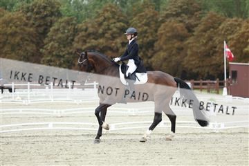 181923_mtp_03_R62_7640.JPG