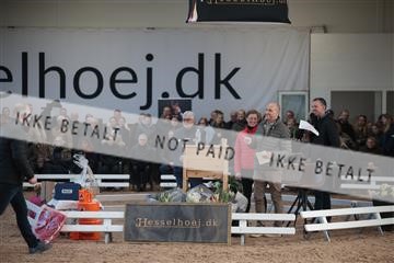 179022_kbb_01_R6II2590.JPG