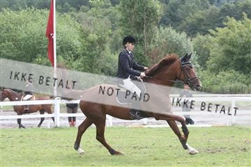 5925_ma_05_IMG_0602.JPG