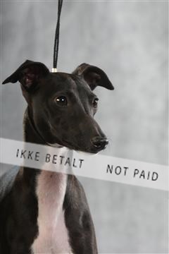 129608_le_ 02_0420.JPG