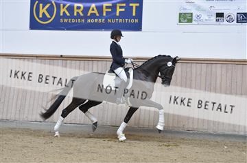 160111_nn_01__ESK1920.JPG