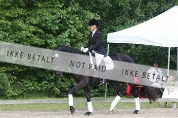 135518_ms_01_IMG_0390.JPG