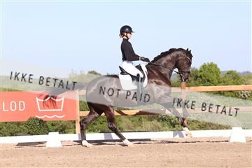 181449_bc_01R62_6365.JPG