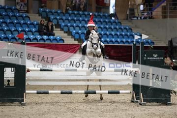 175934_avh_02_7627.JPG