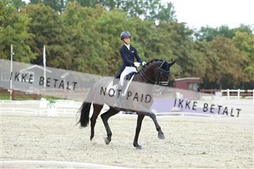 181923_mtp_03_R62_7843.JPG