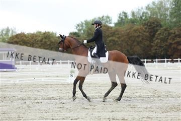 181923_mtp_04_R62_9149.JPG