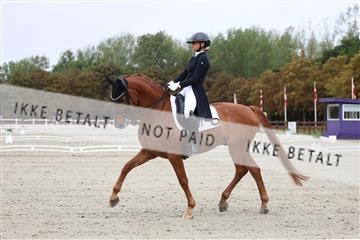 181923_mtp_01_R62_6203.JPG