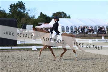 181894_mtp_05_R62_5064.JPG