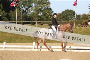 148862_sg_01_IMG_2224.JPG