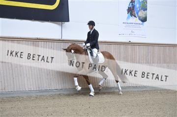 160111_nn_01__ESK1732.JPG