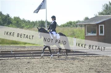 169078_kbb_1__KBB3509.JPG