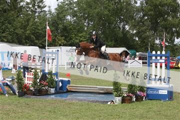5925_ma_05_IMG_1053.JPG