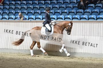 160111_nn_01__ESK2202.JPG
