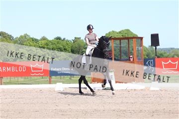 181449_bc_01R62_5890.JPG