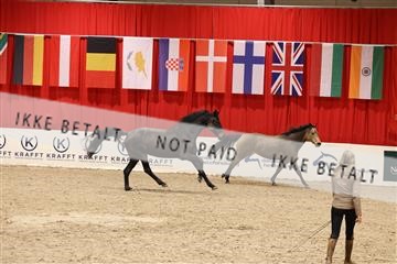 178838_mtp_04_0E6A5042.JPG