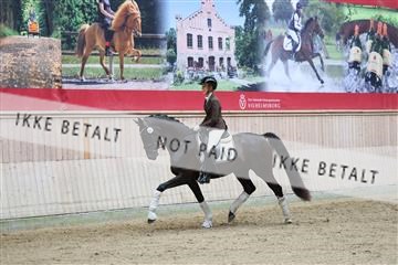 181887_mtp_04_R62_8617.JPG