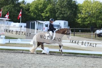 181894_mtp_05_R62_5154.JPG