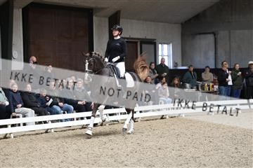 179104_avh_02_3215.JPG