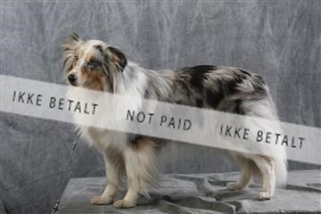 129608_le_ 01_0890.JPG